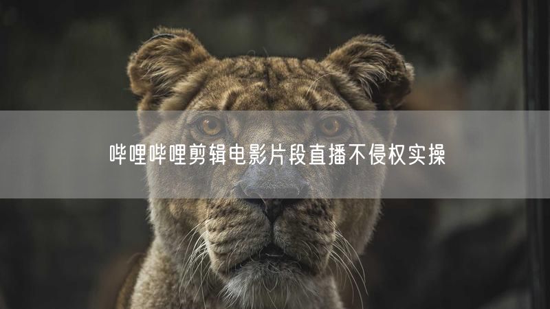 哔哩哔哩剪辑电影片段直播不侵权实操
