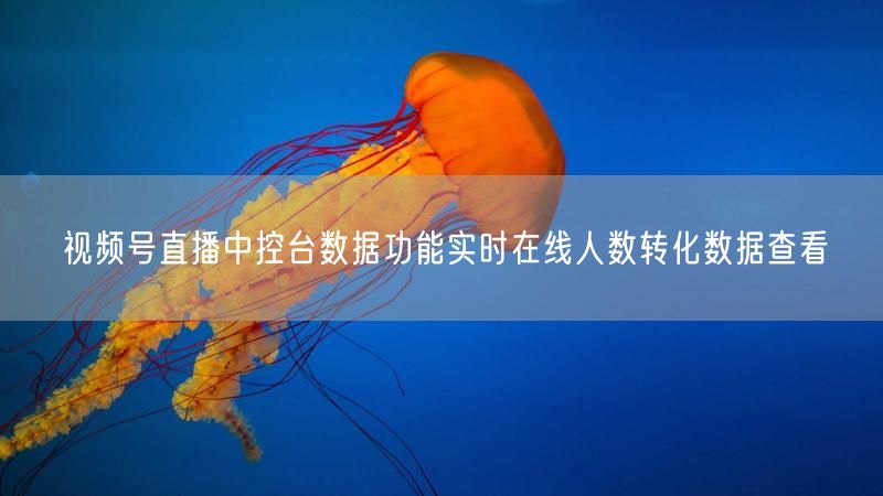 视频号直播中控台数据功能实时在线人数转化数据查看