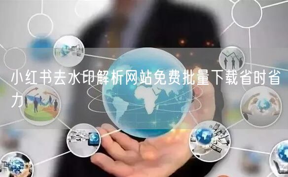 小红书去水印解析网站免费批量下载省时省力