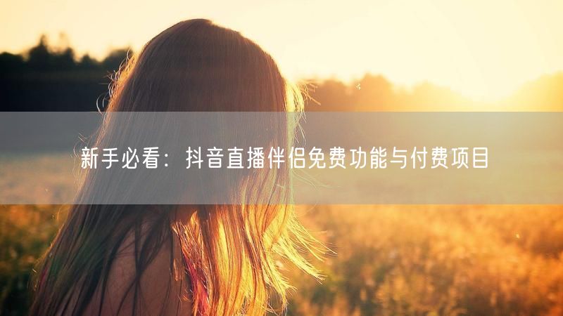 新手必看：抖音直播伴侣免费功能与付费项目