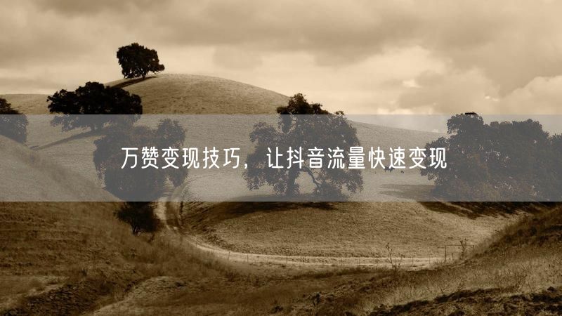 万赞变现技巧，让抖音流量快速变现