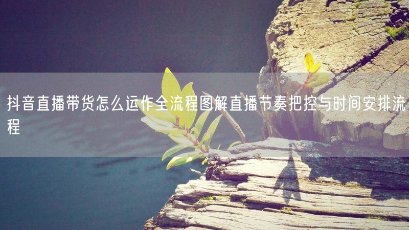 抖音直播带货怎么运作全流程图解直播节奏把控与时间安排流程
