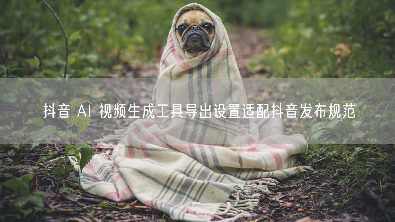 抖音 AI 视频生成工具导出设置适配抖音发布规范