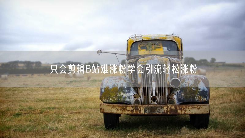 只会剪辑B站难涨粉学会引流轻松涨粉