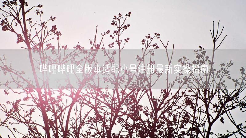 哔哩哔哩全版本适配小号注册最新实操指南