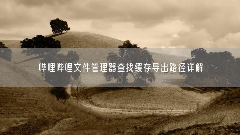 哔哩哔哩文件管理器查找缓存导出路径详解
