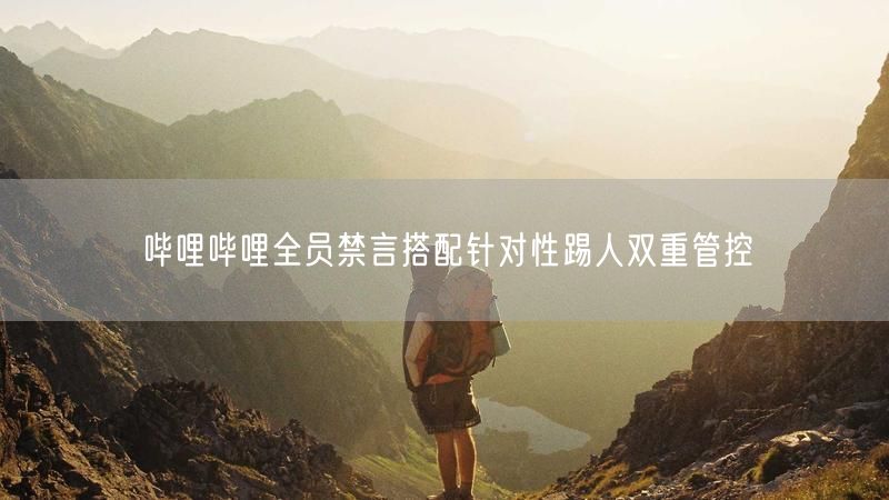 哔哩哔哩全员禁言搭配针对性踢人双重管控