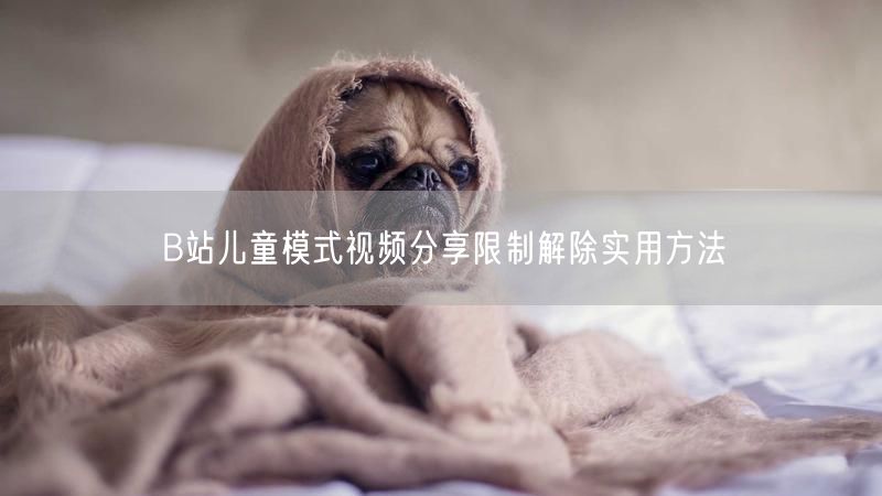 B站儿童模式视频分享限制解除实用方法