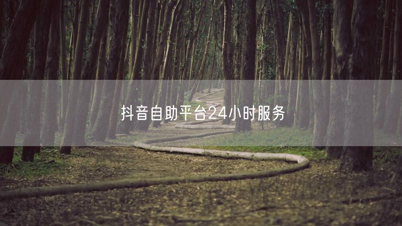 抖音自助平台24小时服务