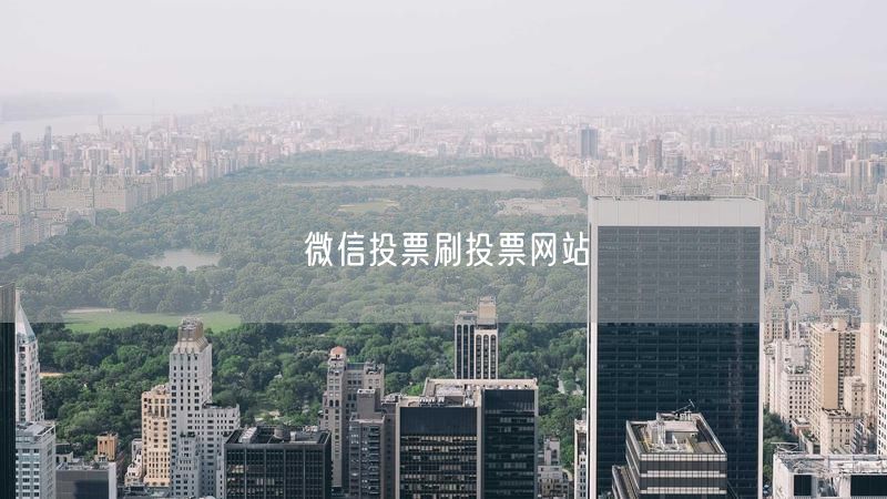 微信投票刷投票网站