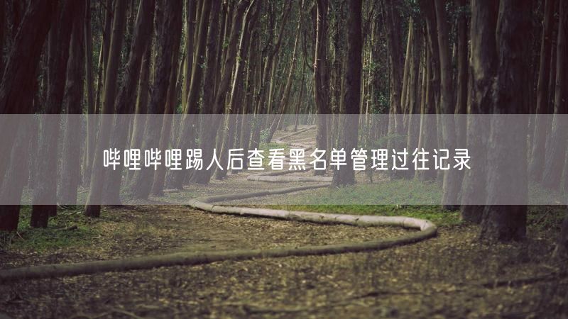 哔哩哔哩踢人后查看黑名单管理过往记录